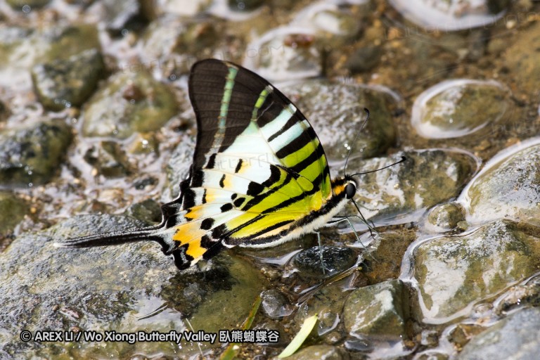 111002_subic_044.jpg