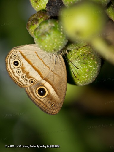 111002_subic_067.jpg