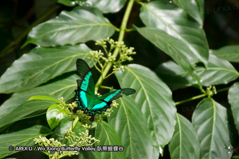 111003_subic_041.jpg
