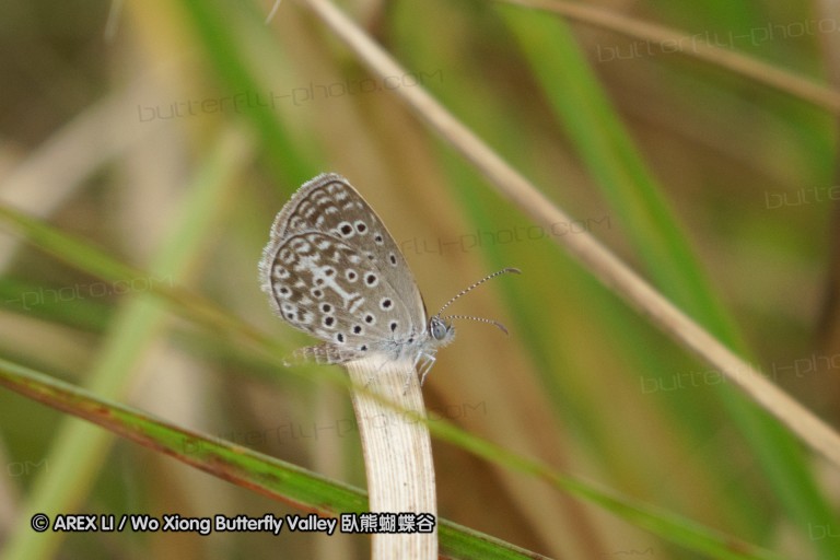 140427_krantzkloof_009.jpg