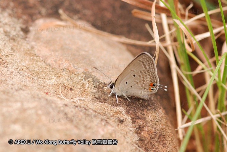 140427_krantzkloof_025.jpg
