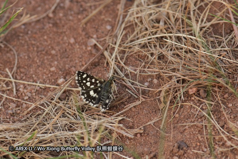 140427_krantzkloof_086.jpg