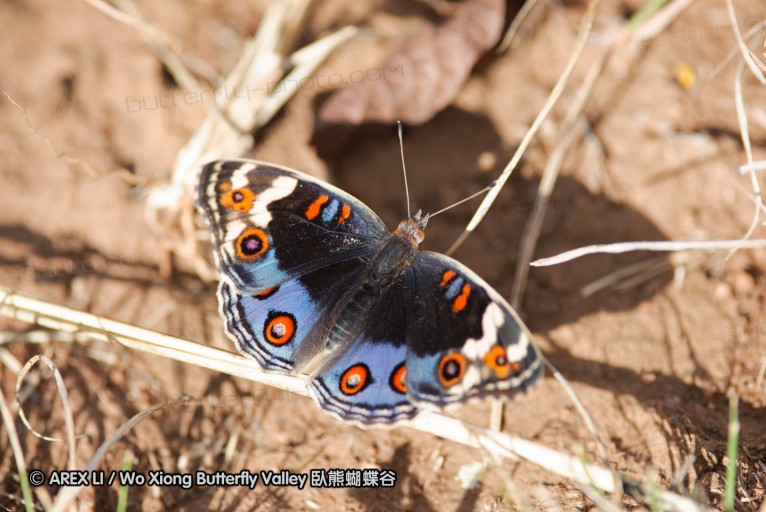 140427_krantzkloof_092.jpg