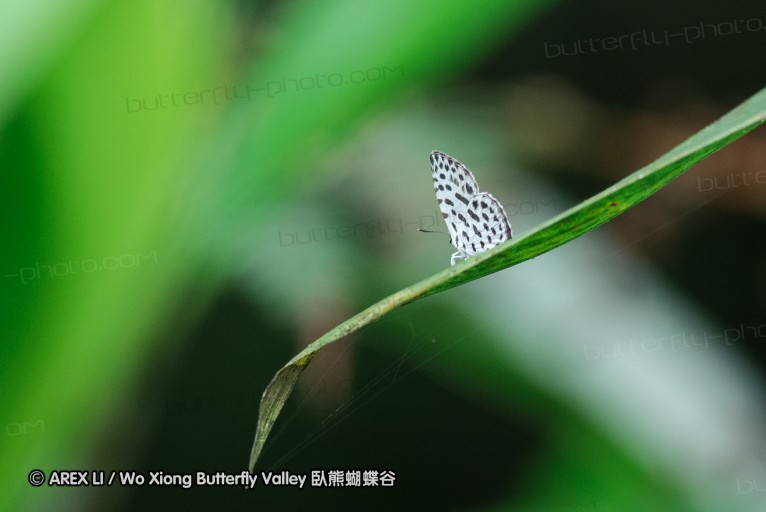 140628_tianjing_13.jpg
