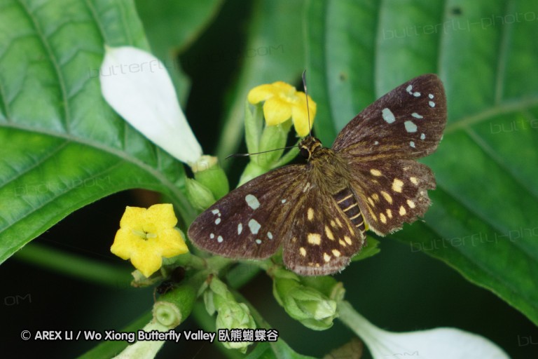 140628_tianjing_16.jpg