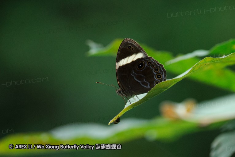 140628_tianjing_24.jpg