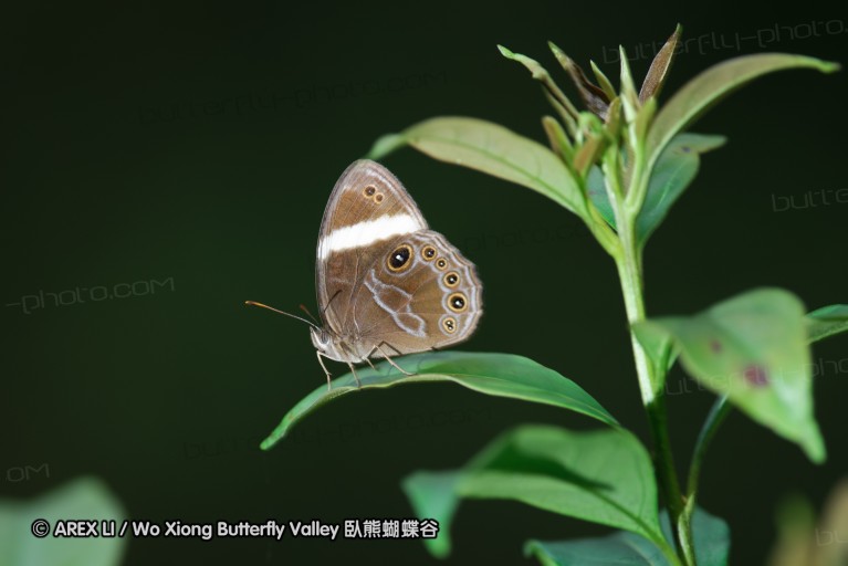 140628_tianjing_25.jpg