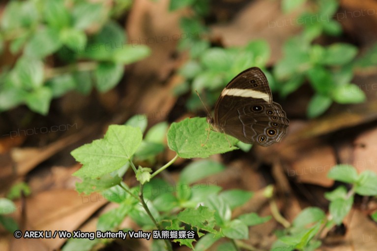 140628_tianjing_29.jpg