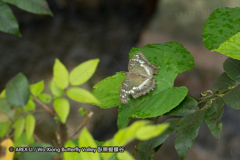 140629_tianjing_02.jpg