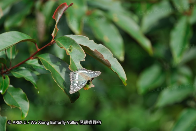 140629_tianjing_08.jpg