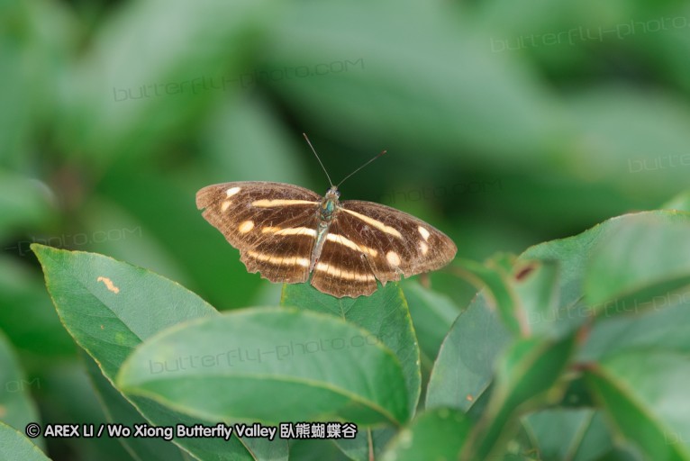 140629_tianjing_12.jpg