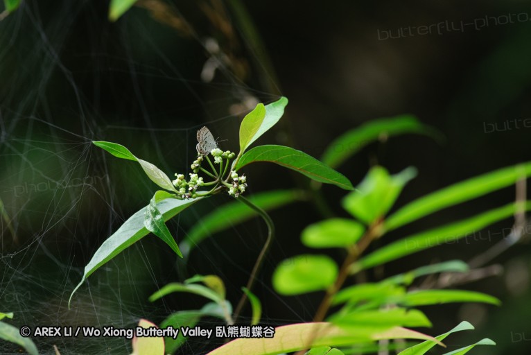 140629_tianjing_25.jpg