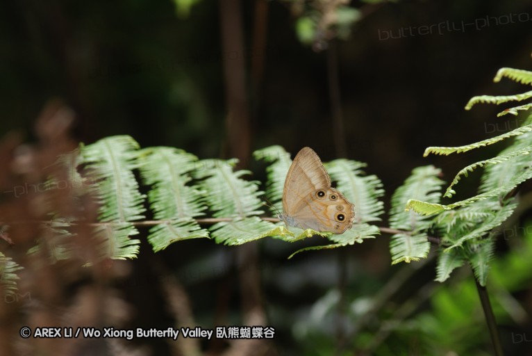 140629_tianjing_27.jpg
