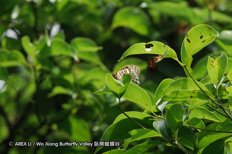 140629_tianjing_28.jpg