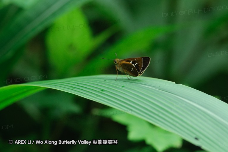 140629_tianjing_34.jpg
