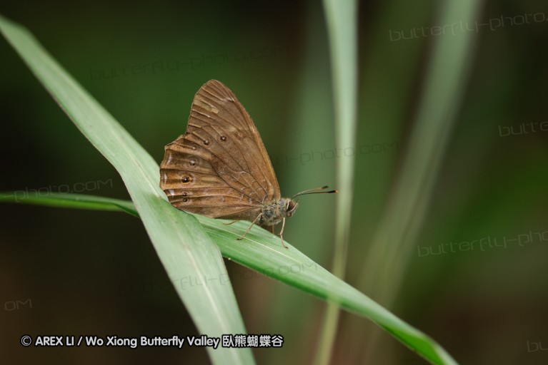 140629_tianjing_54.jpg