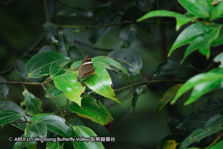 140629_tianjing_55.jpg