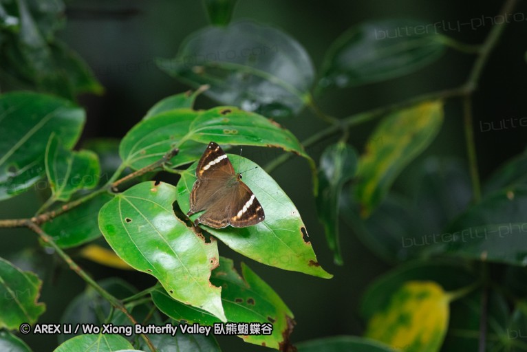 140629_tianjing_56.jpg