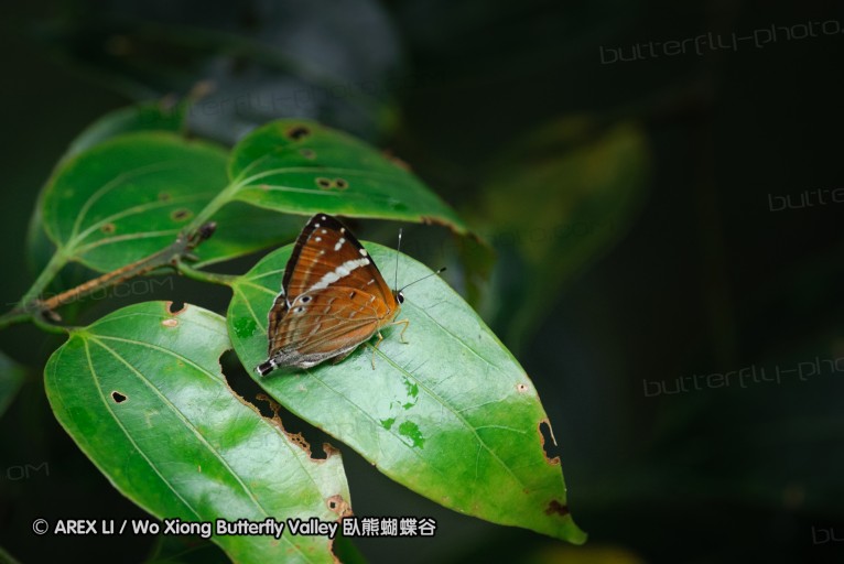 140629_tianjing_57.jpg