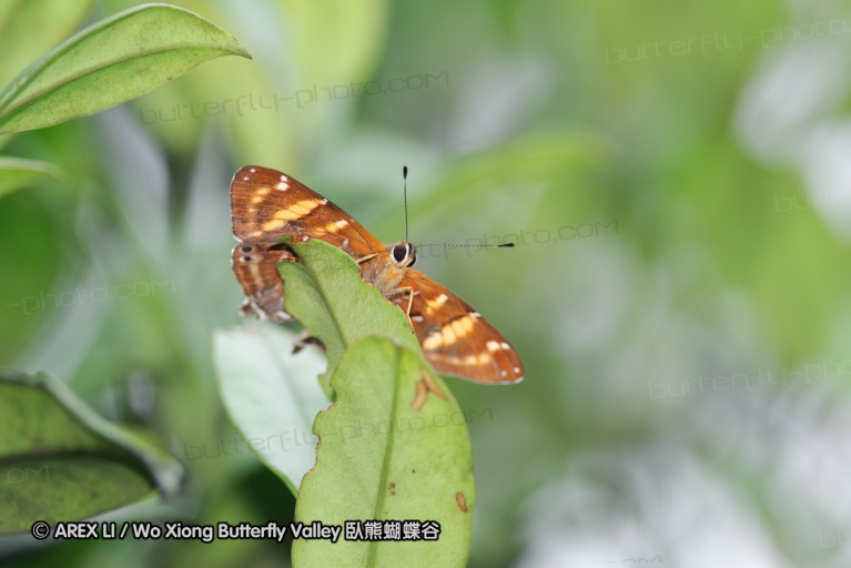 140629_tianjing_59.jpg