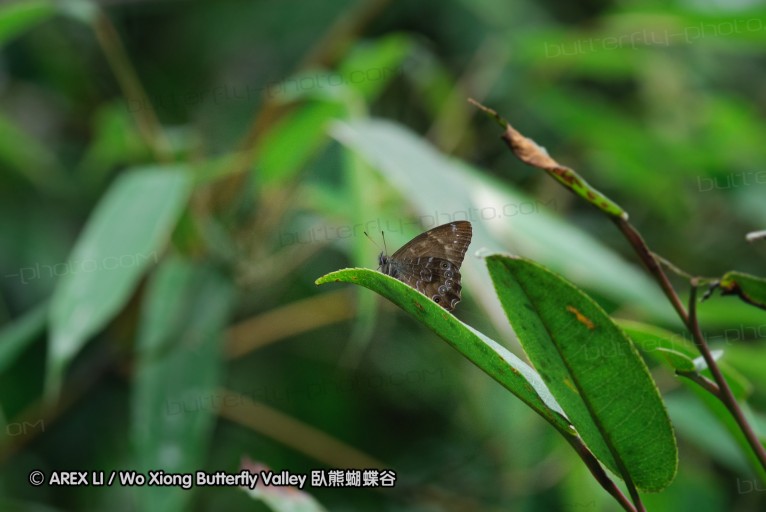 140629_tianjing_68.jpg
