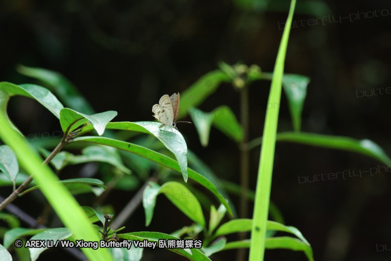 140630_nanling_10.jpg