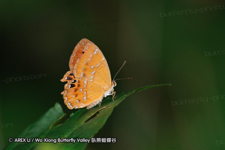 140630_nanling_35.jpg