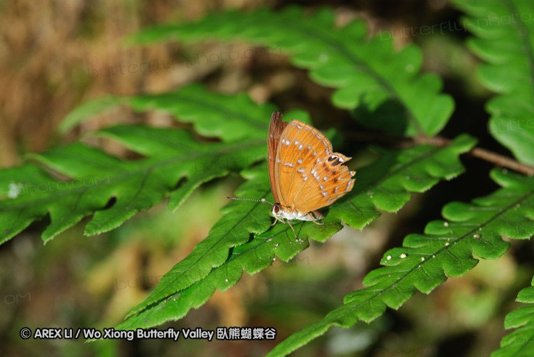 140630_nanling_36.jpg
