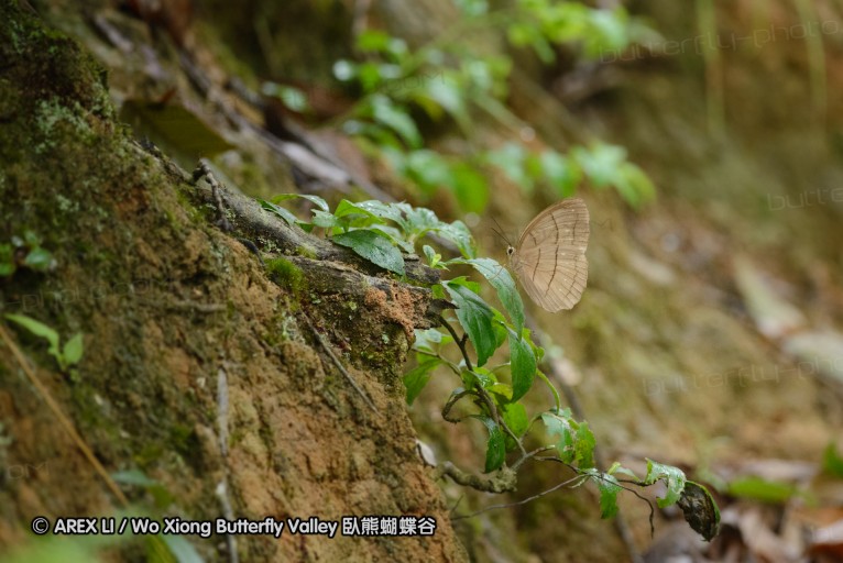 140701_nanling_05.jpg