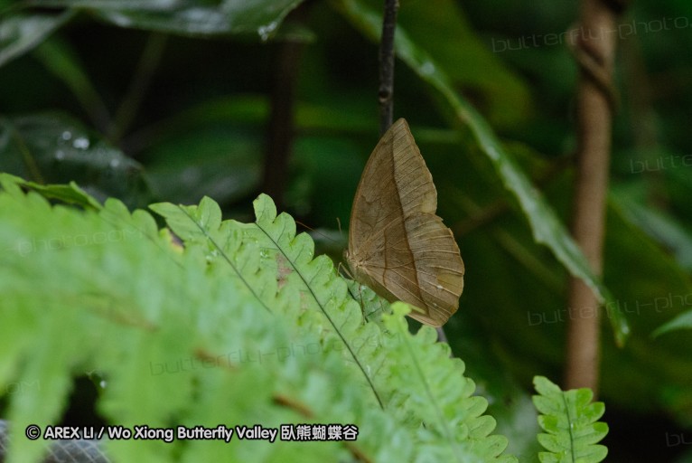 140701_nanling_06.jpg