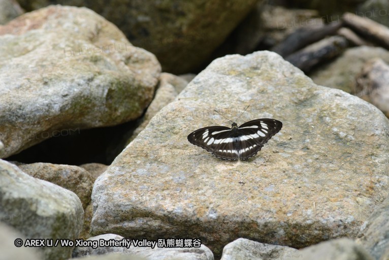 140701_nanling_10.jpg
