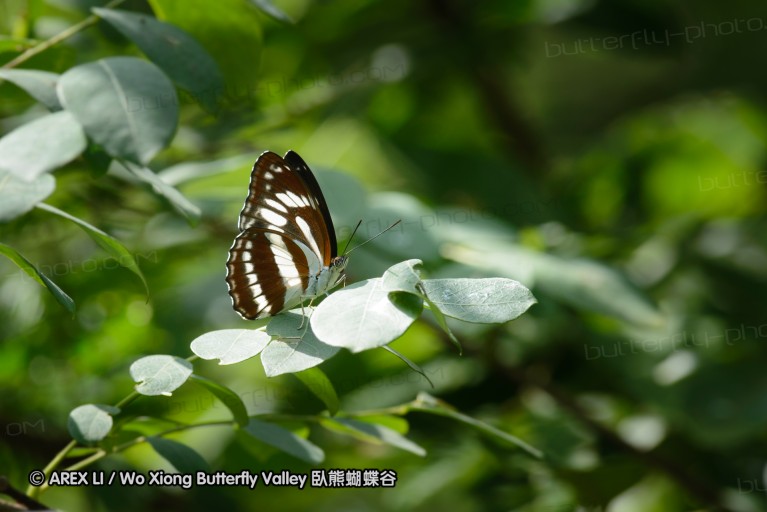 140701_nanling_12.jpg
