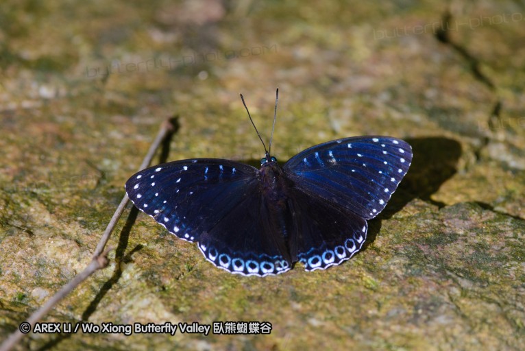 140701_nanling_17.jpg