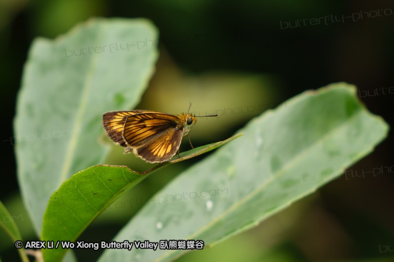 140701_nanling_19.jpg