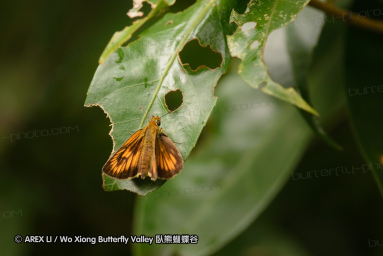 140701_nanling_20.jpg