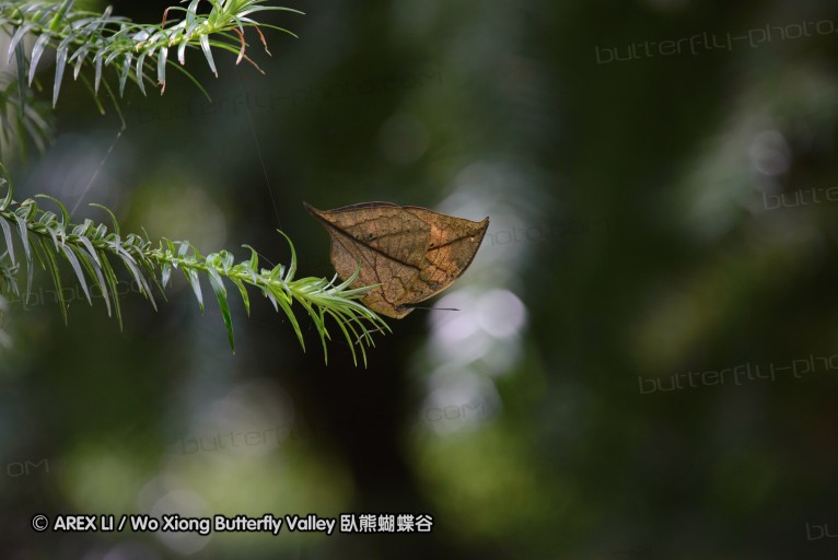 140701_nanling_23.jpg