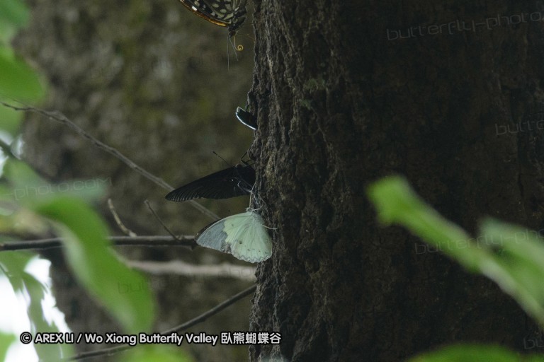 140701_nanling_34a.jpg