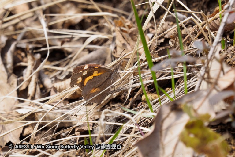 150322_kanagawa_02.jpg