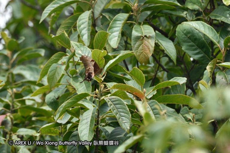150329_doilang_031.jpg