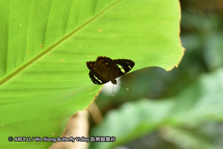 150329_doilang_062.jpg