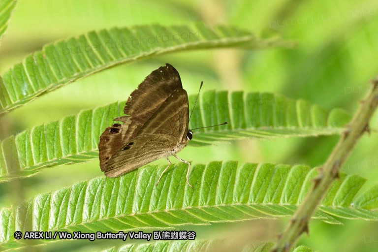 150330_phahompok_113.jpg