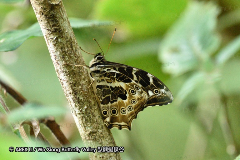150331_doilang_010.jpg