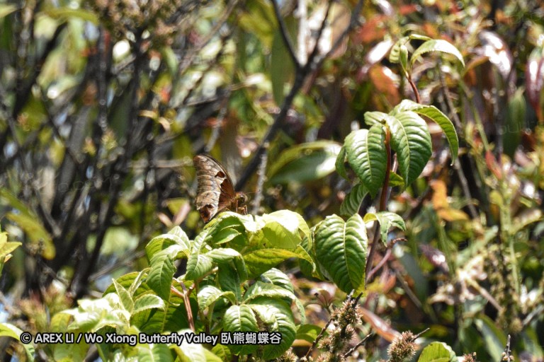150331_doilang_020.jpg