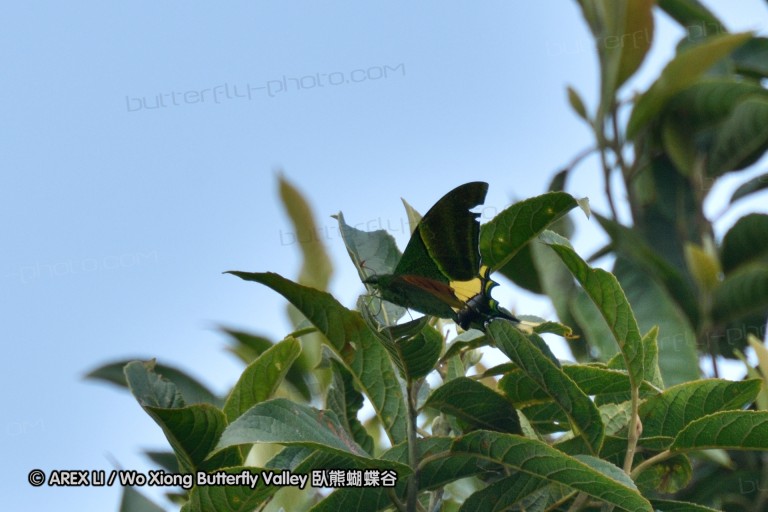150331_doilang_028.jpg