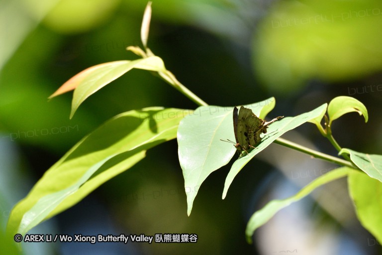 150331_doilang_050.jpg