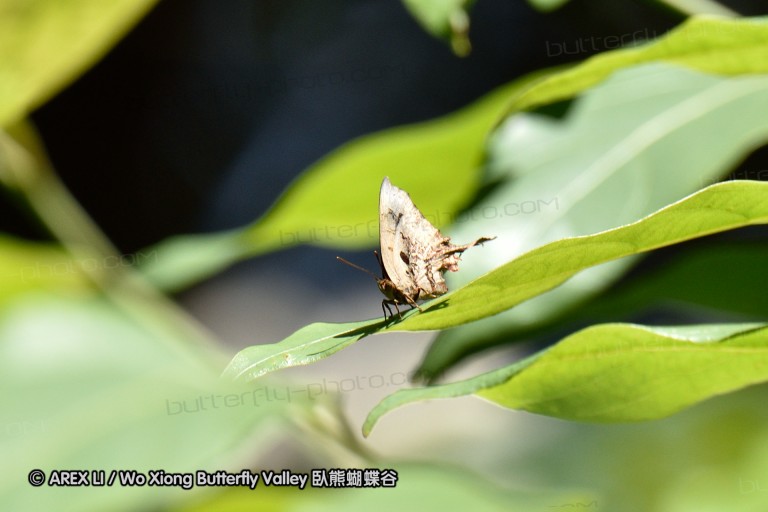 150331_doilang_053.jpg