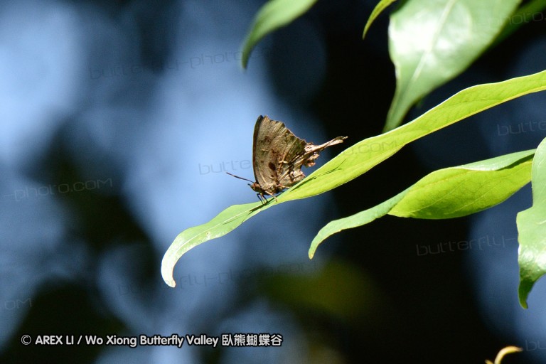 150331_doilang_055.jpg