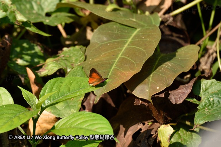 150402_chiangdao_003.jpg