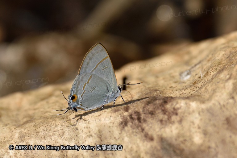 150402_chiangdao_013.jpg