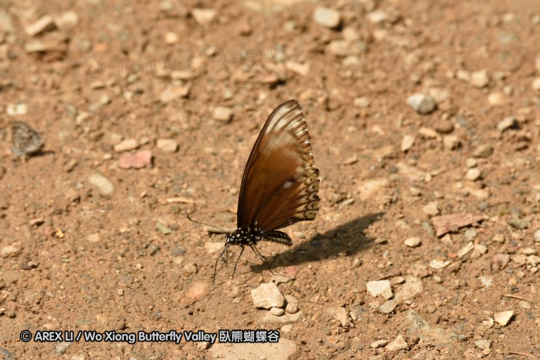 150402_chiangdao_030.jpg